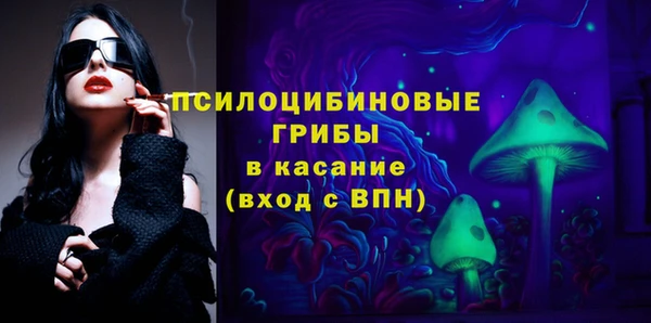 сатива Баксан