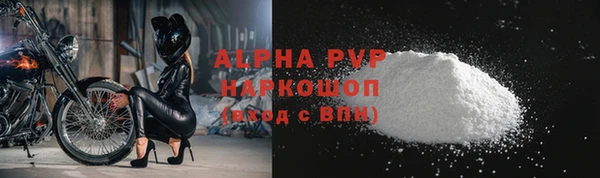 сатива Баксан