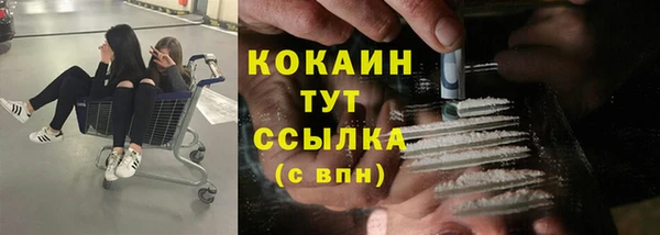 сатива Баксан