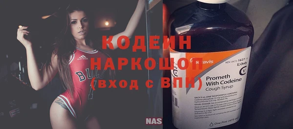 сатива Баксан