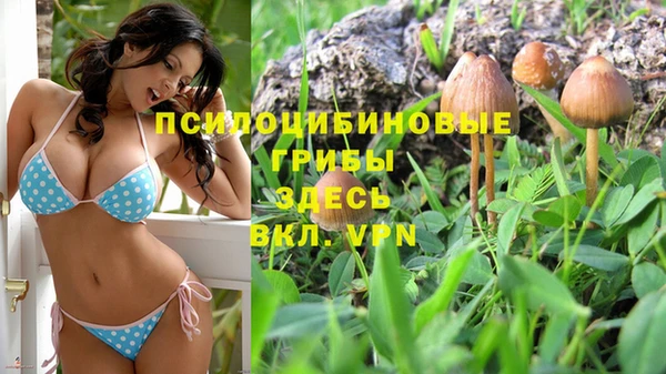 марки lsd Балабаново
